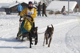 Lenk 2012 SM